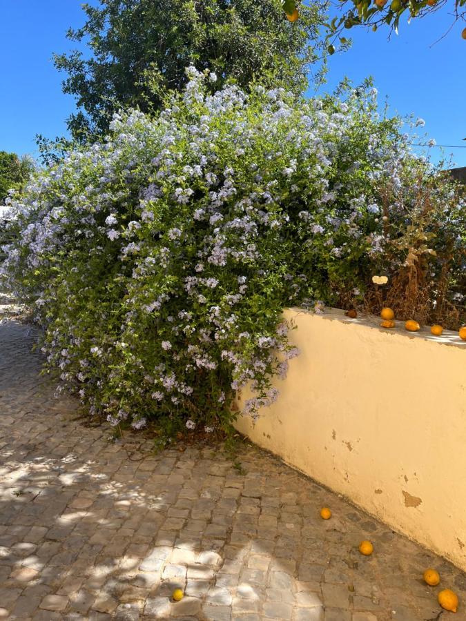 Villa Quinta Da Layla Olhão Exterior foto